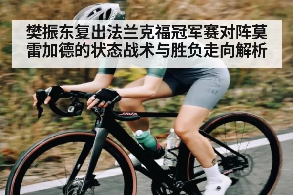 樊振东复出法兰克福冠军赛对阵莫雷加德的状态战术与胜负走向解析